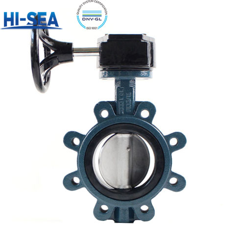 What is the difference between lug type butterfly valves and wafer type butterfly valves?